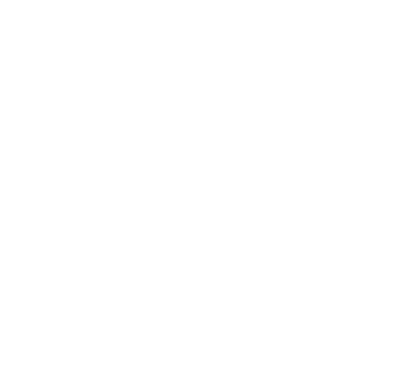 100% Quality Guaranteed